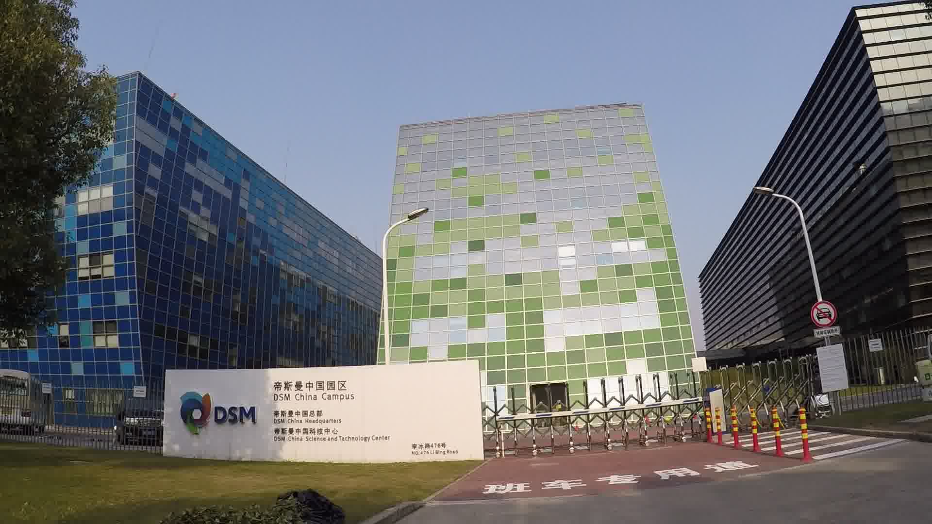 2021年度帝斯曼成全球尼龍46材料主要供應(yīng)商